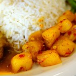 セイロン ホスト - 