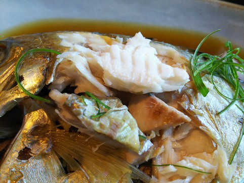 食道大（ショクドウダイ） - 柏陽（海鮮）の写真