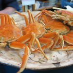 陸奥 こむらさき - セコガニ