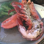 House Without a Key - オマール海老