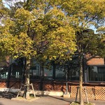 ティーハウス シマ - 外観