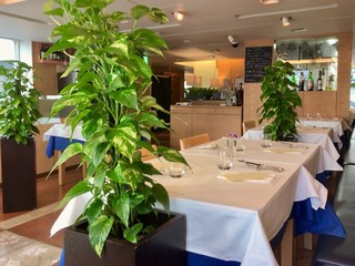 お子様もok 高田馬場で子連れでも入れるランチ店9選 食べログまとめ