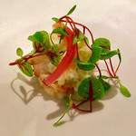 アルシミスト - 