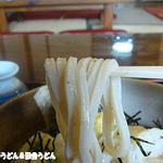 田舎うどん てつ - うどん
