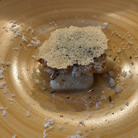 cenci - 