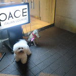 PACE - エントランス：道路側