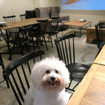 PACE - ワンちゃんウエルカム！！