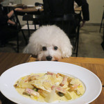 PACE - 得意の顎載せでございます