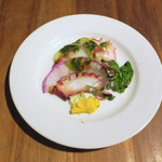 PACE - タコのジェノヴェーゼ