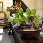 あや菜 - カウンターを彩るあけび。今朝、山で採ってきたばかりだという