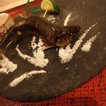 蓬左茶寮 - 【焼物】和良鮎炭あぶり