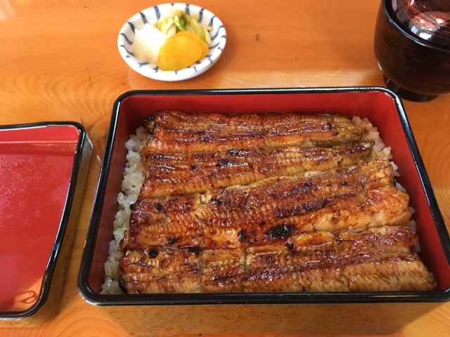酒を飲まなければ 間が持てない こともない 美味しい鰻屋 By Oggeti9 うなぎ大久保 北野 うなぎ 食べログ 酒を飲まなければ 間が持てない こともない 美味しい鰻屋 By Oggeti9 うなぎ大久保 北野 うなぎ 食べログ