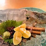 泳ぎイカのお造りは、食感抜群でうんまーい♪