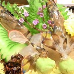 KAKIYA シェル＆シュリンプ - 