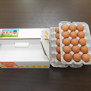 たまごの郷_0