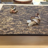 鮨 島本 - 飯蛸造り(切り込みも技です。口当たりが凄い)
