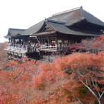 滝の家 - 紅葉がキレーでした～in清水寺