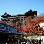 滝の家 - 紅葉がキレーでした～in清水寺