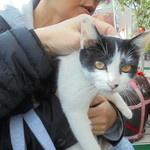 中国料理 王記 - 噂の凄腕の客引き