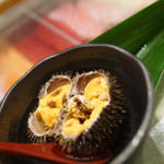 千春鮨 - ばふんうに