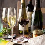 トラットリア サンタルチア - 豊富なワイン