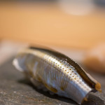 鮨 猪股 - 小鰭（こはだ）