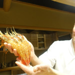 東麻布 天本 - 2017/1_ボタン海老