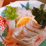 魚山人 - 刺身はシマアジと鯛、生物の提供にお上が煩いらしく少し炙られてます(^^)