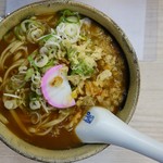 うどんのいなや - カレー田舎そば、ねぎ、たぬき