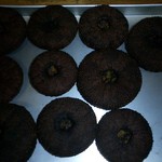 志摩磯料理かもめ家 - 料理写真:焼きうに１５００円～　