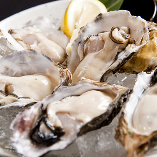 生牡蠣の食べ比べ！北海道産生牡蠣は是非食べて下さい！