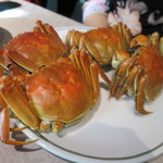 中国飯店 富麗華 - 上海蟹