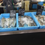 読谷村漁業協同組合 海人食堂 - 