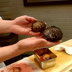 鮨 和さび - 赤貝　閖上と大分