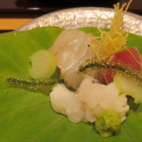 和料理 蓮花寺 さいとう - 生まぐろ・梅肉のハモ