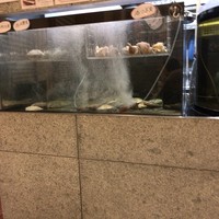 函館うに むらかみ 日本生命札幌ビル店 - 