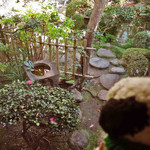 料亭 まつむら - ボキらのお部屋からもお庭が眺められるよ。
      
      ちびつぬ「椿の花が素敵ね～」