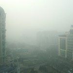 四季民福烤鸭店 - 