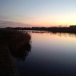 金田家 - こんな穏やかな今川初めて見ました！(￣ー￣ )