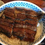 しげ吉 - 鰻丼並