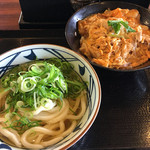 Marugame Seimen - かけうどん（並）290円+鶏親子丼中盛490円