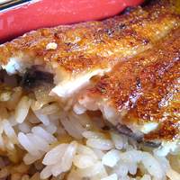 鰻割烹 伊豆栄 本店 - 鰻