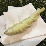 鮨松榮 - 子持ち公魚