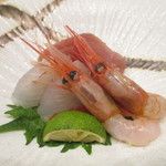 小料理 すず乃 - 青森　平目、秋田　甘海老、秋田　メジマグロ