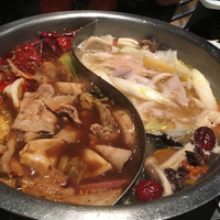 雪梅花 菜根譚 - 