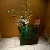 伊豆の旬 やんも 丸の内店 - 