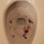 仙台牛と和風個室 すていき小次郎 - 