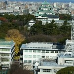 フォレスタ - 窓から見える名古屋城と遠くの稜線*✲ﾟ*｡✧