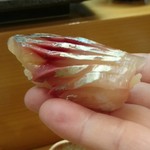 鮨 来多老 - 釣り鯵。リフト(^-^)/
      