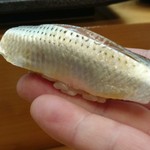 鮨 来多老 - 小鰭。リフト(^-^)/